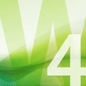 Expression Web 4 Logo