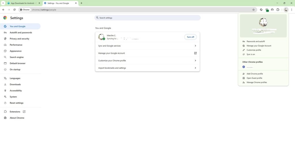 برنامج Google Chrome - لقطة شاشة 5