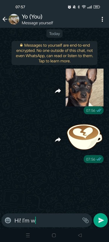 تطبيق WhatsApp Messenger - لقطة شاشة 1