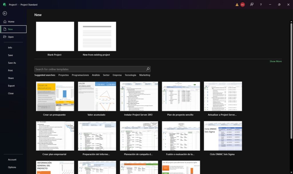 برنامج Microsoft Project - لقطة شاشة 1