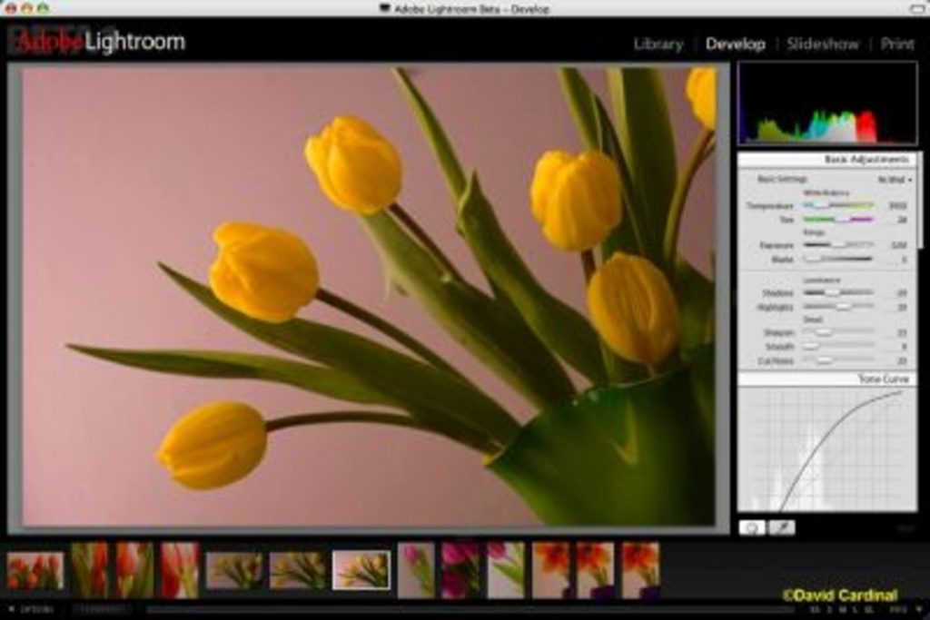 برنامج Adobe Photoshop Lightroom - لقطة شاشة 4