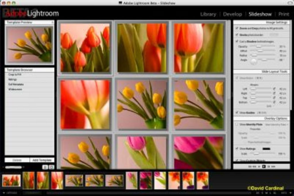 برنامج Adobe Photoshop Lightroom - لقطة شاشة 5