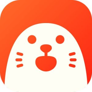 HOLLA Icon