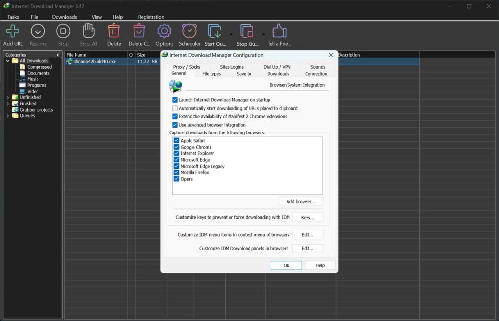 برنامج Internet Download Manager - لقطة شاشة 5